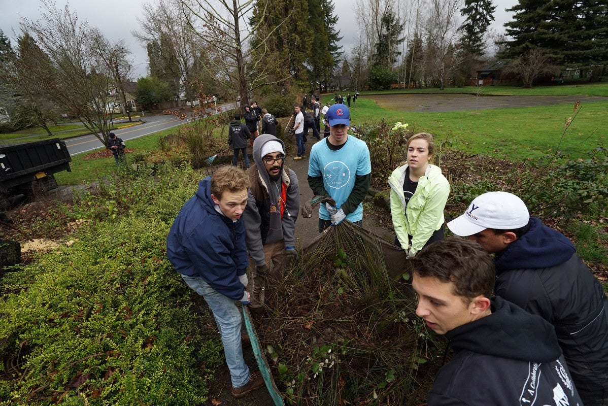 Students haul a pile of plants on a tarp as part of restoration work.