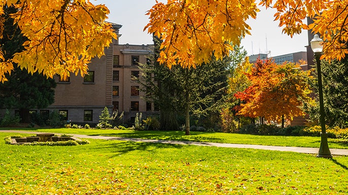 campus during the fall