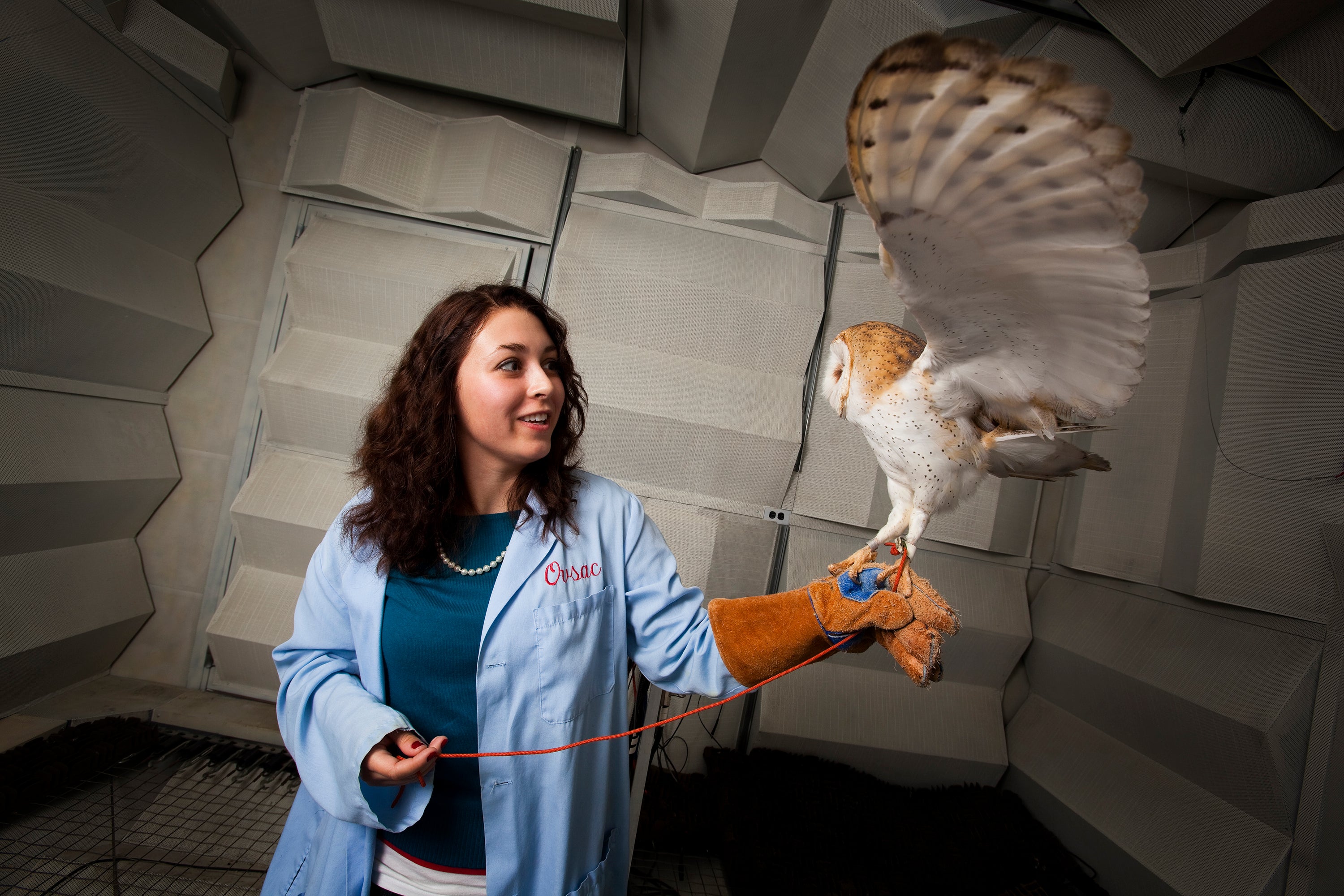 A researcher holds an owl whose wings are extended.
