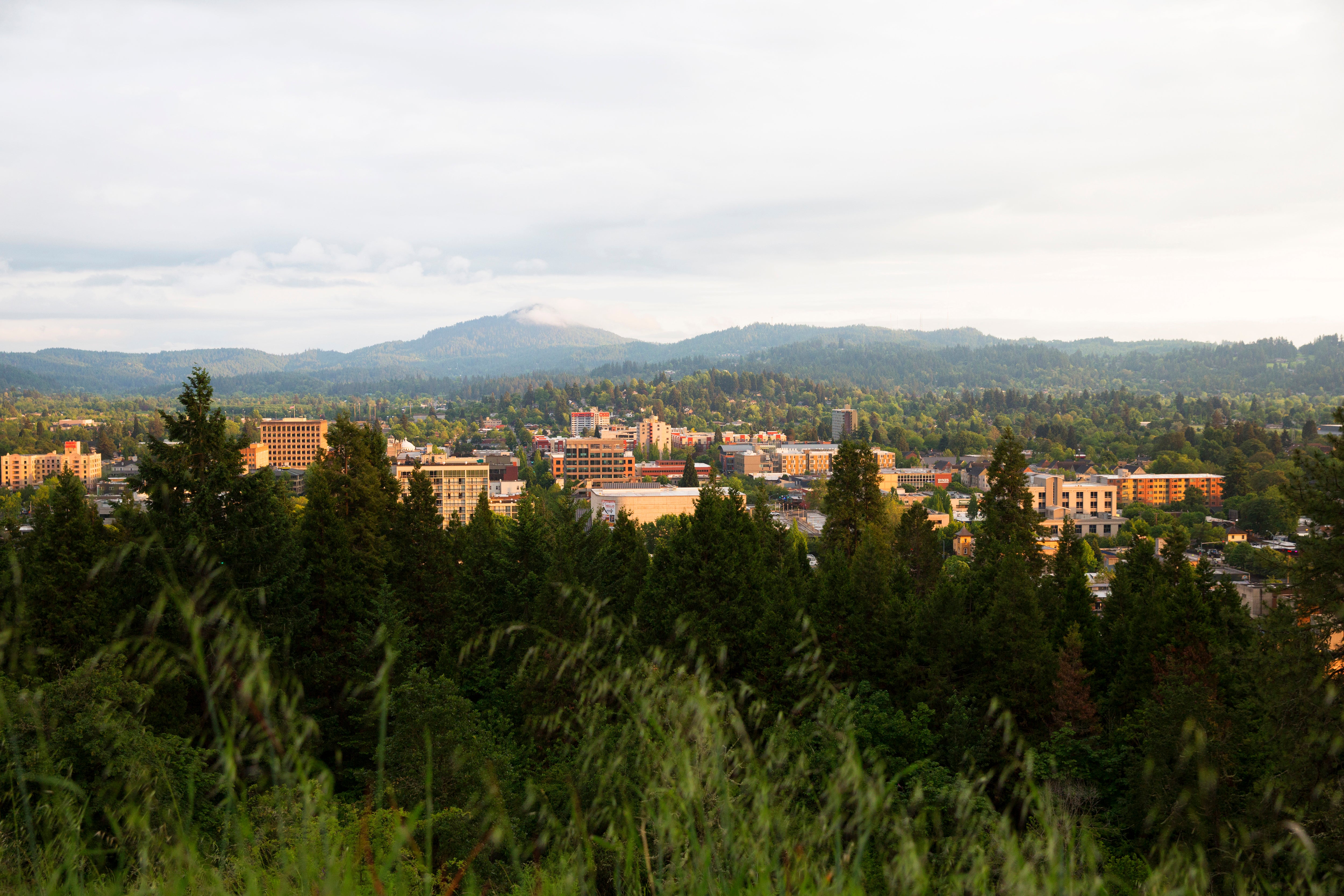 A photograph with a foreground with trees with the Eugene skyline in the midground and mountains in the background.