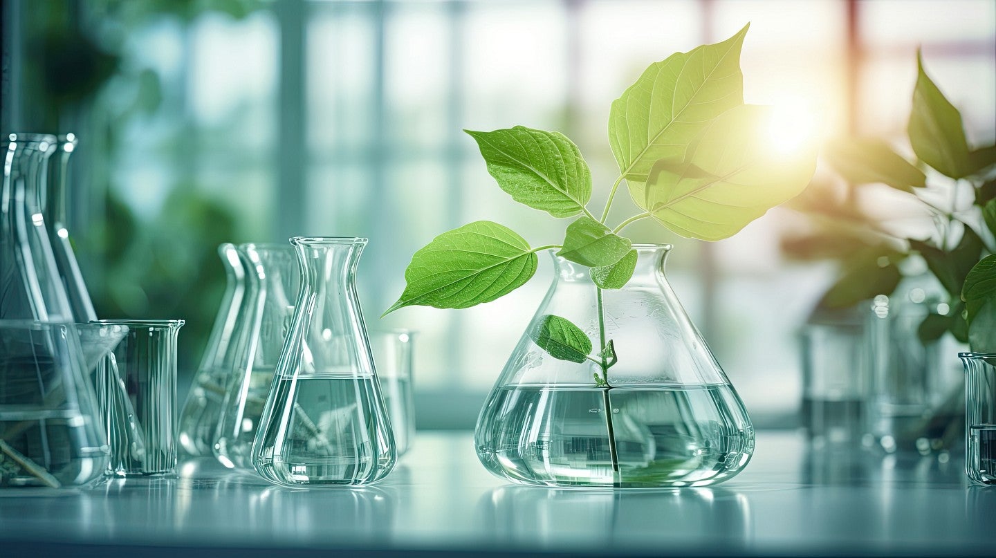 beakers with clear liquids sit on a table with a few leaves sticking out