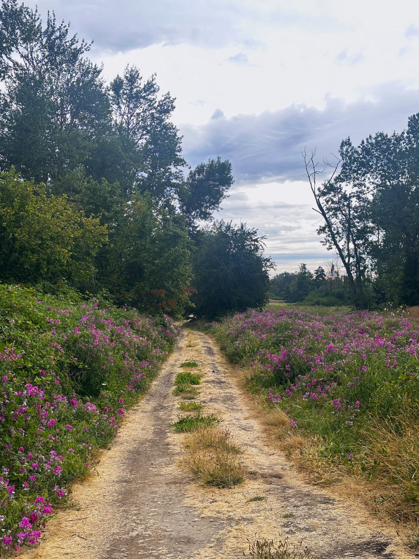 Trail at the WRNA