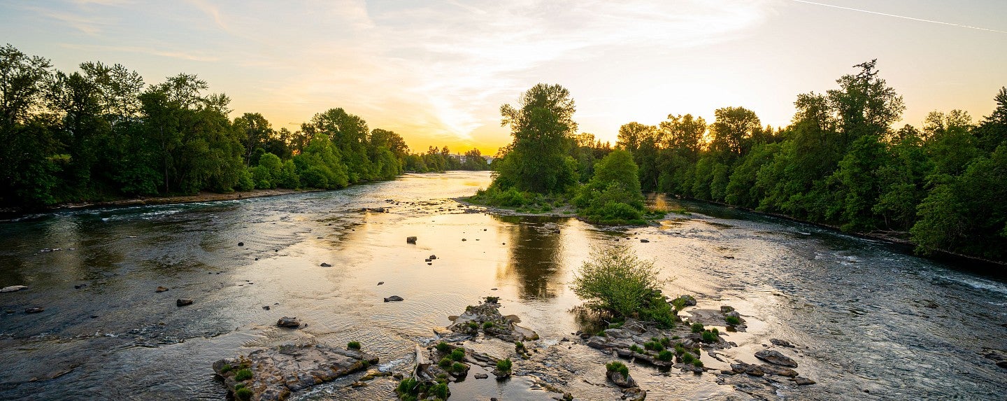 The Willamette River as seen from the Frohnmayer footbridge on north campus.
