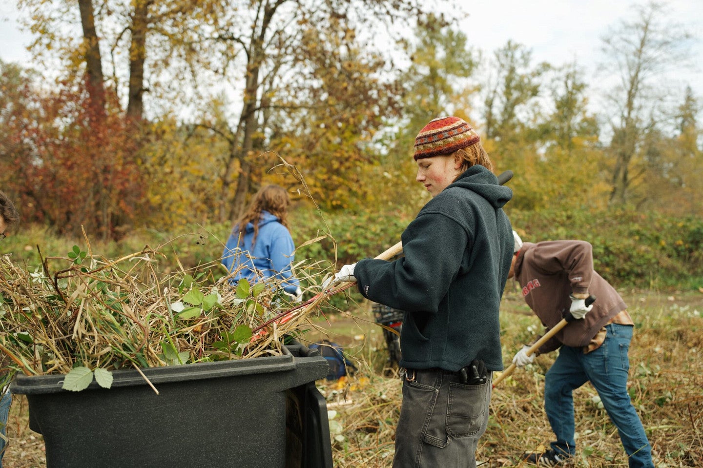 A person putting pulled invasive plants in a trash bin