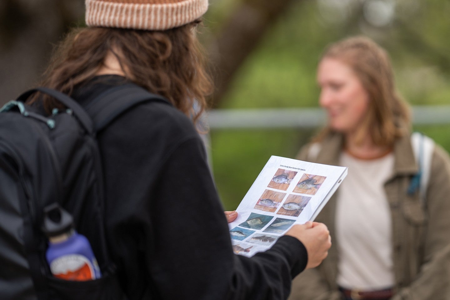 A person examines a laminated card showing different fish species.