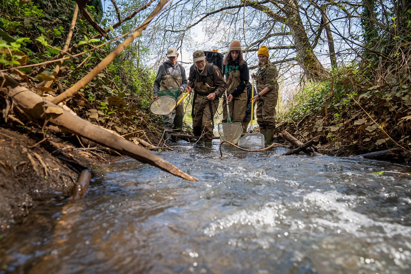Students work with a field biologist to gather and log fish found at the Millrace outfall into the Willamette River.