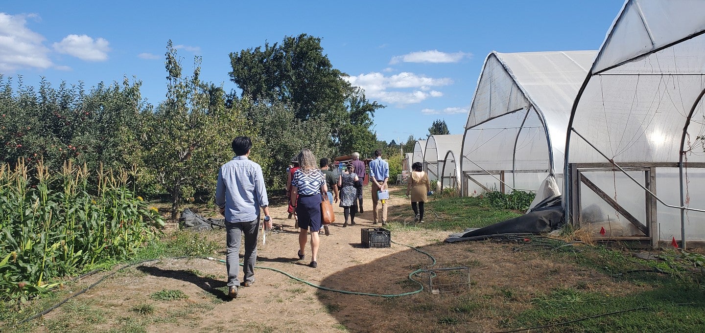 Adults walking, photo shot from behind, through a farm with greenhouses and fields.