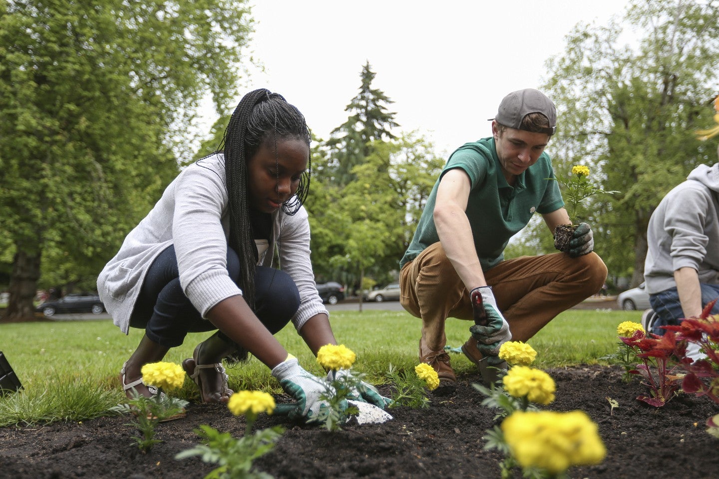 University of Oregon students Natalia Nahr and Matt Carroll work to plant flowers on University Day on Thursday, May 21, 2015, on the University of Oregon campus in Eugene, Oregon.