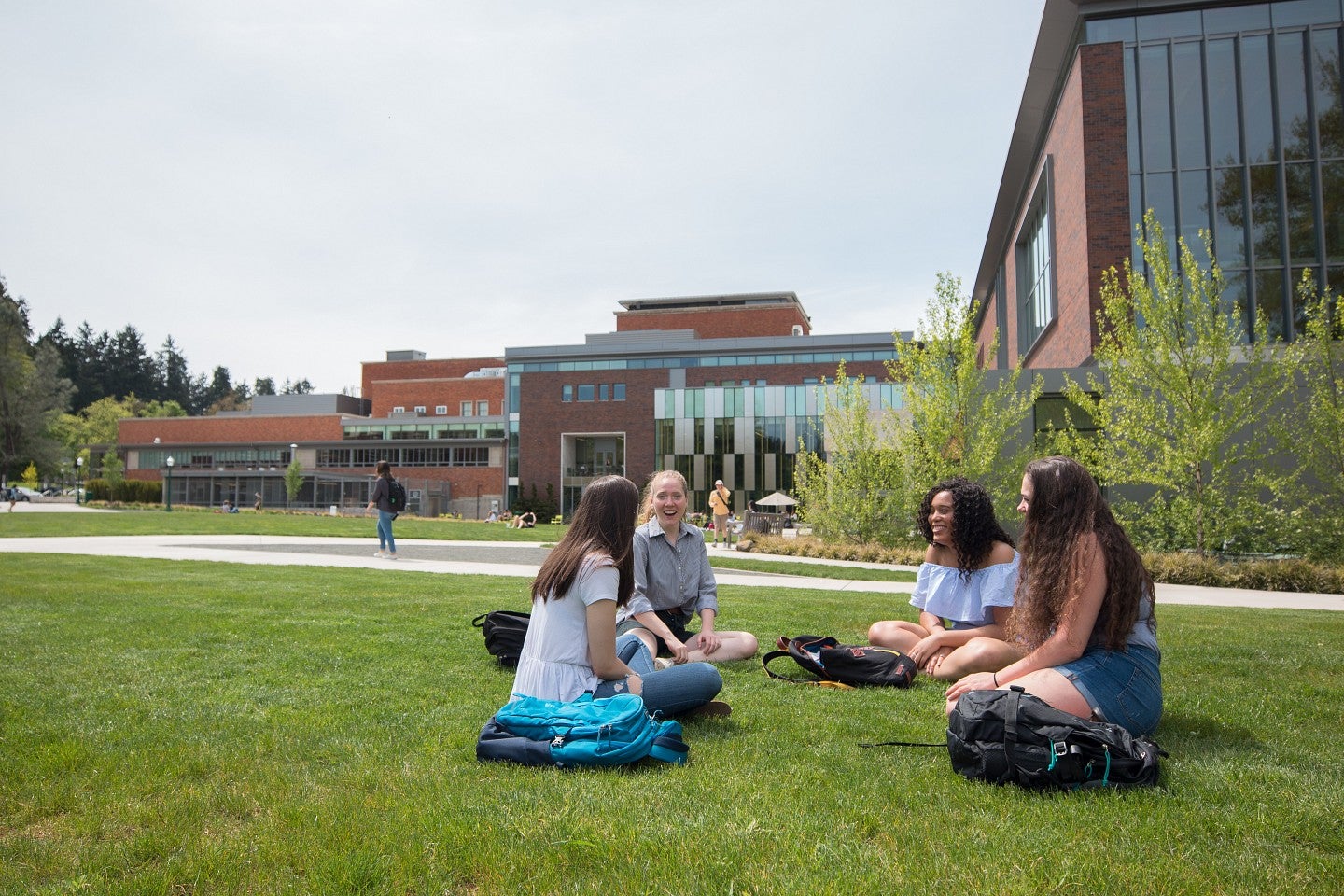 Four female students sitting on a lawn and talking on a sunshiny day.