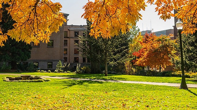 campus during the fall