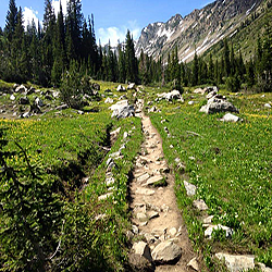Trail in the mountains