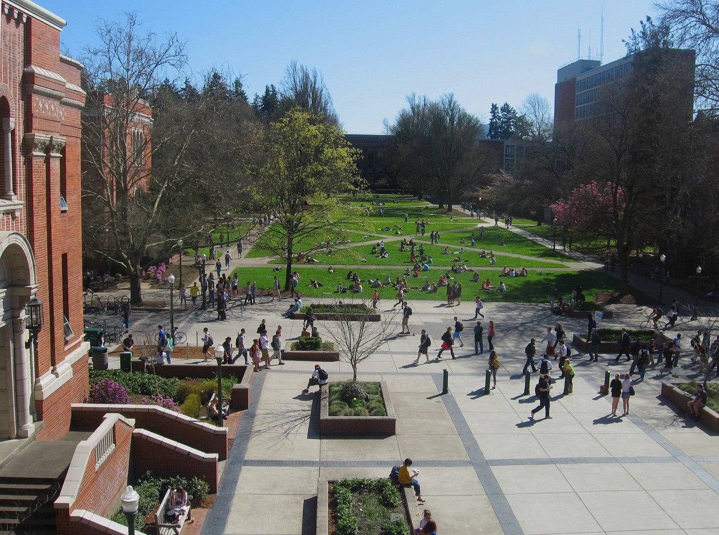 Overview picture of the UO quad with people walking and sitting on a sunny day.