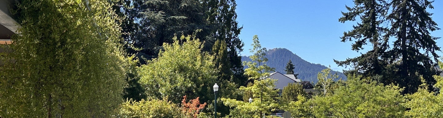View of Skinner Butte from HEDCO