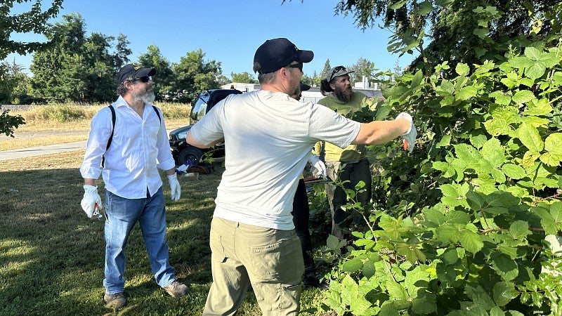 Stewards and landscape maintenance crew removing invasive species
