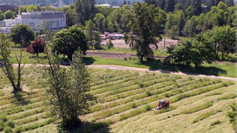 Fuller Land Initiative research on the WRNA