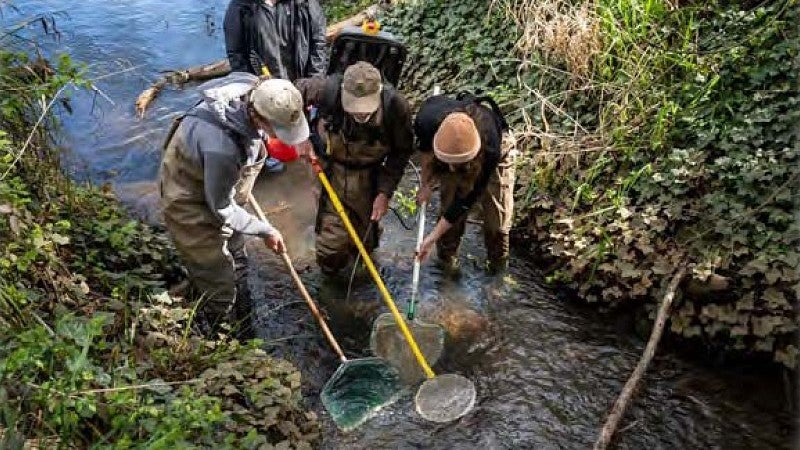 Millrace research group