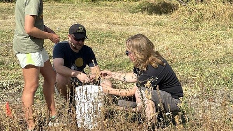 native seed collecting