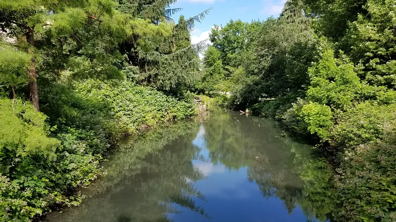 Wide shot of the Millrace pond from the West side