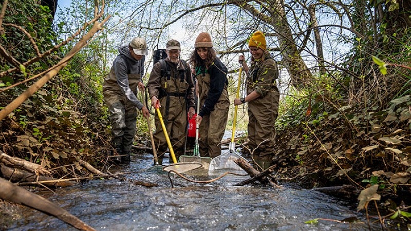 WRNA Millrace Fish Shock