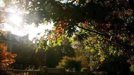 Autumn leaves and UO Campus Building