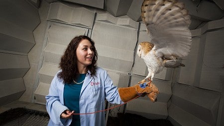 A researcher holds an owl whose wings are extended.