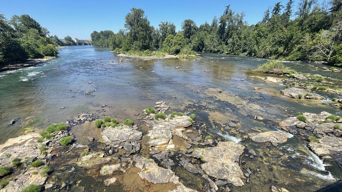 Willamette River from Frohmayer Bridge