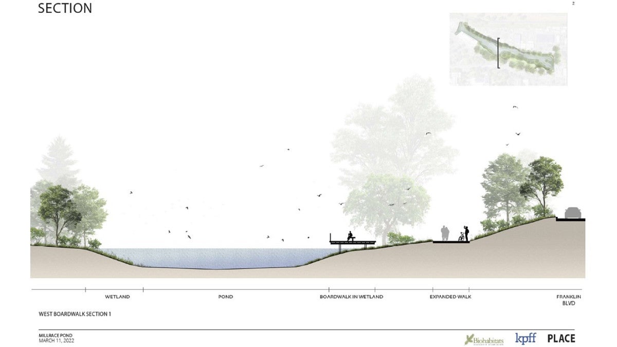 Cross section of the Millpond Enhancement Plan