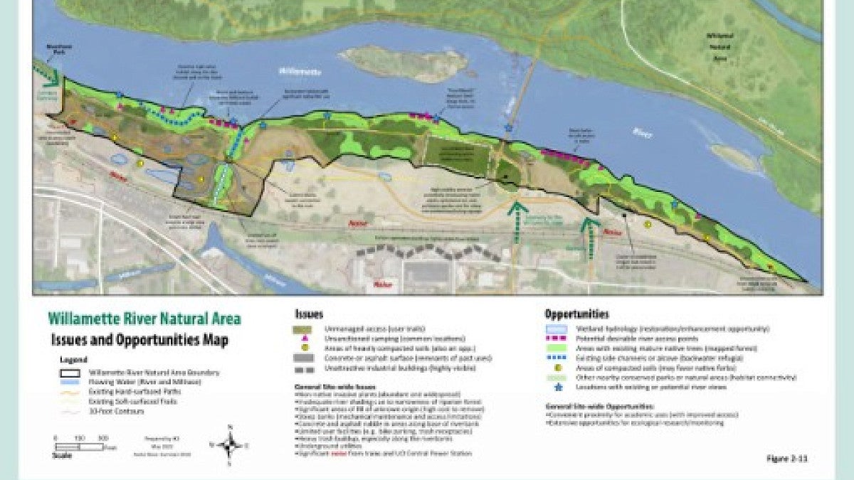 Map indicating site issues and opporotunities