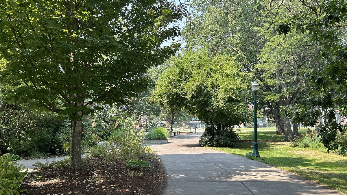 Promenade and mature landscaping.