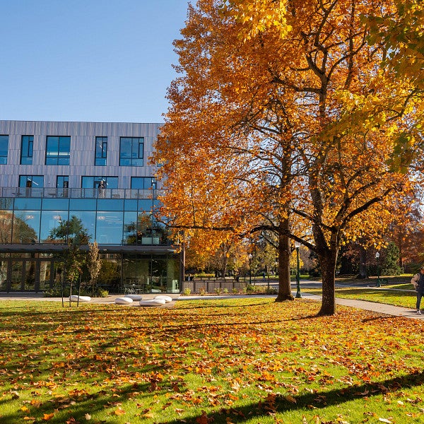 Fall Campus